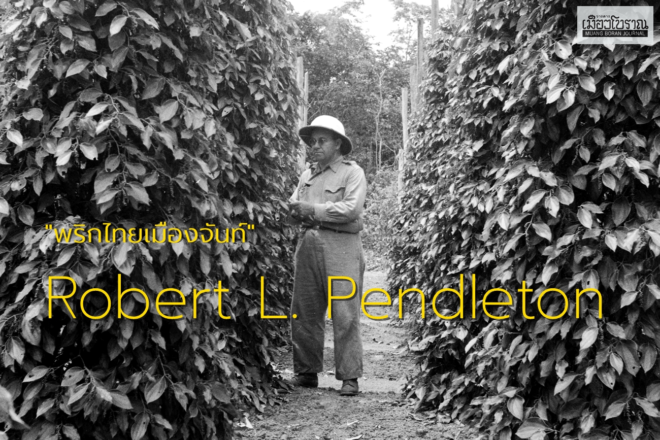 พริกไทยเมืองจันท์ในคลังภาพ Robert L. Pendleton   