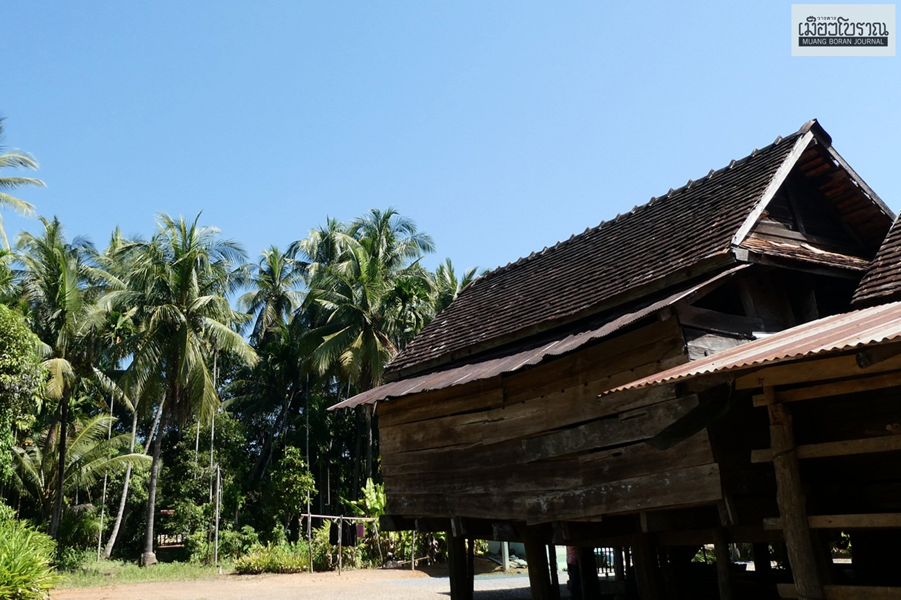 หมาก-มะพร้าวในเรือกสวนเก่าที่ลับแล 