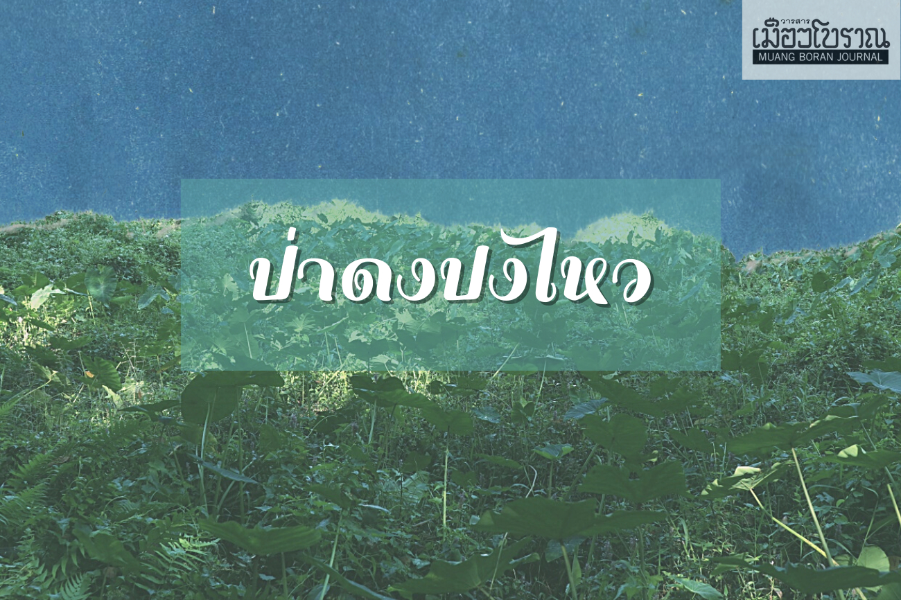 ร่องรอยลัวะเมืองสันกำแพง : ป่าดงปงไหว 